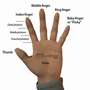 Image result for Two Plus One Fingers