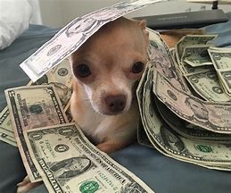 Image result for Dog Money Meme