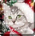 Image result for Christmas Cat Wallpaper iPhone