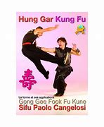 Image result for Hung Gar Kung Fu Styles