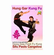 Image result for 12 Bridges of Hung Gar Kung Fu