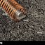 Image result for Oil Field Copper Wire