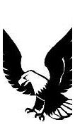 Image result for Black Eagle Drawing