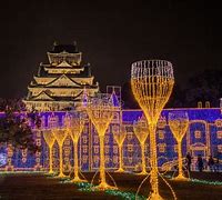 Image result for Osaka Castle Night