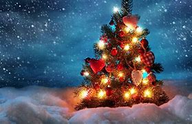 Image result for Christmas Tree HD