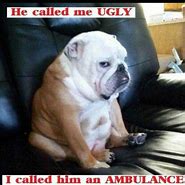 Image result for Survived the Week Funny Pic