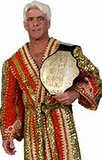 Image result for Ric Flair TNA