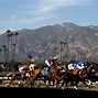 Image result for Horse Racing Speedway