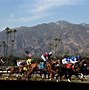 Image result for Anaheim Ascot Racing