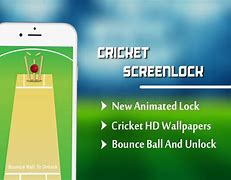 Image result for Cricket Lock
