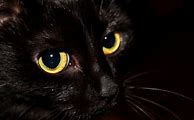 Image result for Black Cat Aesthetic Wallpaper