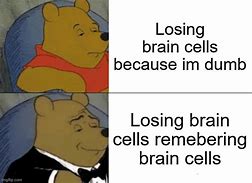 Image result for Lost Brain Cells Meme