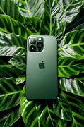 Image result for All iPhone SE2 Colours