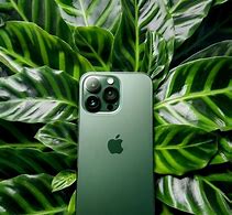 Image result for iPhone 13 Pupple