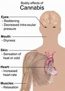 Image result for Marijuana Long-Term Effects