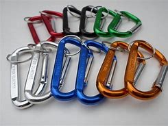Image result for Stainless Carabiner Clip