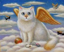 Image result for Angel Cat Meme