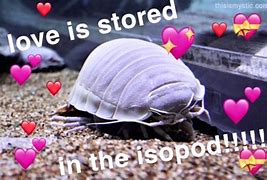 Image result for Isopod iPod Meme