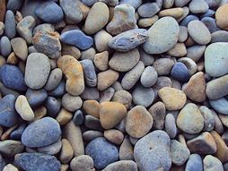 Image result for Mass of Pebbles