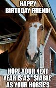 Image result for Horse Birthday Puns
