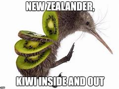 Image result for New Zealand Memes
