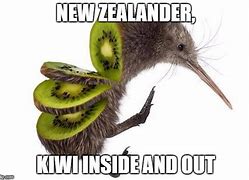 Image result for Dam Kiwi Meme