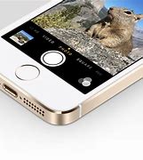 Image result for 8MP On iPhone 5S Image Quality