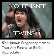 Image result for Pregnant with Cat Ultrasound Meme