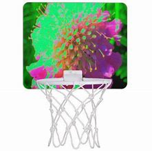 Image result for NBA Forge Mini Basketball Hoop