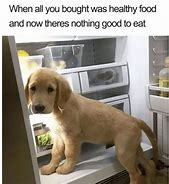 Image result for Funny Dog Food Memes