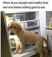 Image result for Dog Memes About Food