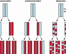 Image result for DNA Results Meme