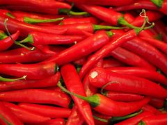 Image result for White Chili Pepper