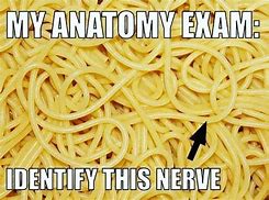 Image result for Nerves Meme