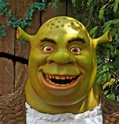 Image result for 1080 X 1080 Shrek Face