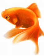 Image result for Christian Fish Logo.png Blue