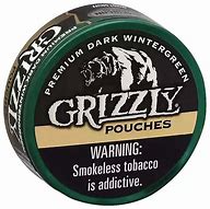 Image result for Grizzly Wintergreen Pouches