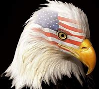 Image result for Us Eagle Flag Wallpapers