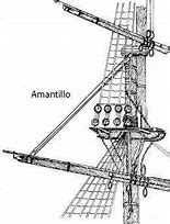 Image result for amantillo