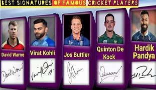 Image result for Cricket Players with All Accessories On