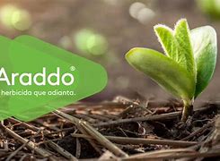 Image result for adudero