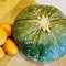 Image result for Orange Kabocha Squash