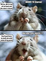 Image result for Pet Rat Meme