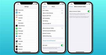 Image result for How to Find Silenced Phone Numbers On iPhone