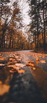 Image result for Apple iPhone Fall Wallpaper