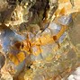 Image result for Giant Opal