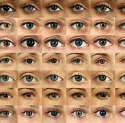 Image result for Eye Color Contact Lenses