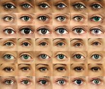 Image result for Diffrent Colored Eyes Black and White