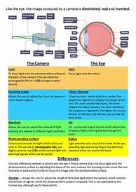 Image result for iPhone Spec Comparison Poster