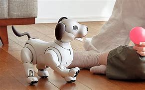 Image result for Aibo Life 2